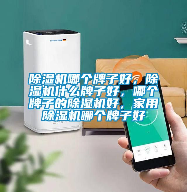 除濕機(jī)哪個(gè)牌子好，除濕機(jī)什么牌子好，哪個(gè)牌子的除濕機(jī)好，家用除濕機(jī)哪個(gè)牌子好