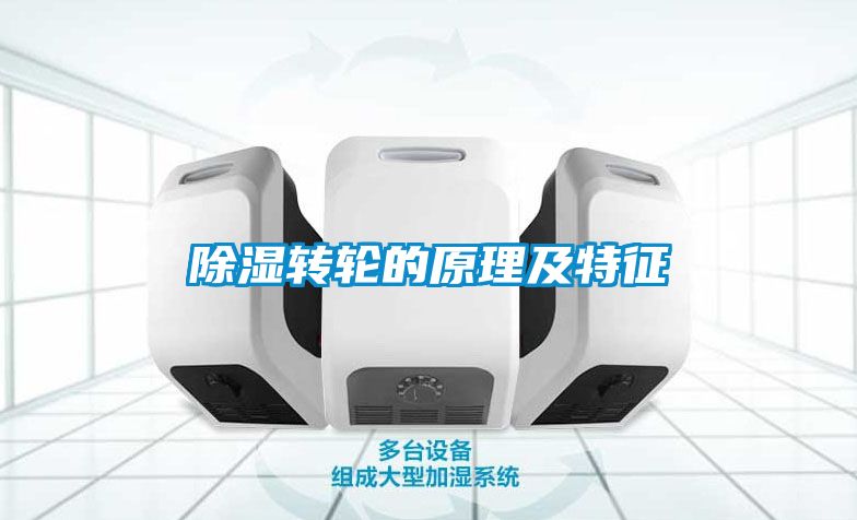 除濕轉(zhuǎn)輪的原理及特征