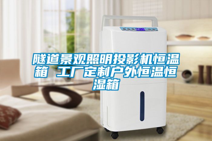 隧道景觀照明投影機(jī)恒溫箱 工廠定制戶外恒溫恒濕箱