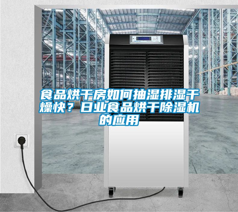 食品烘干房如何抽濕排濕干燥快？日業(yè)食品烘干除濕機(jī)的應(yīng)用