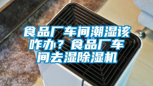 食品廠車(chē)間潮濕該咋辦？食品廠車(chē)間去濕除濕機(jī)