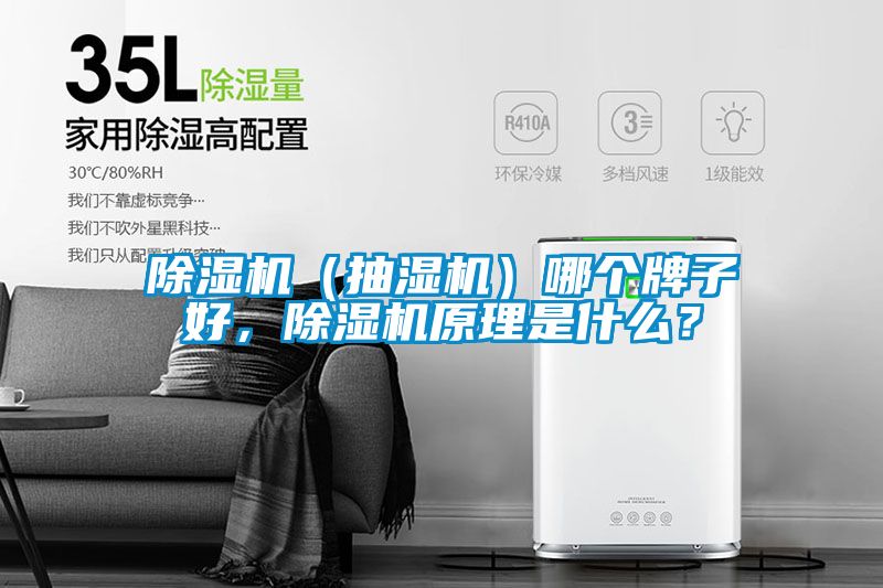 除濕機（抽濕機）哪個牌子好，除濕機原理是什么？