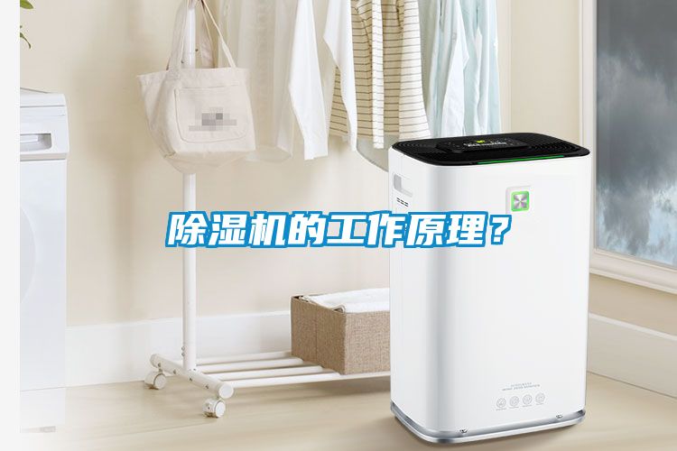 除濕機(jī)的工作原理？