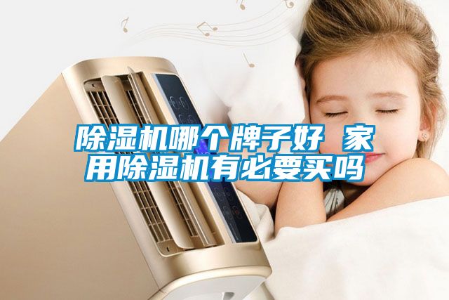 除濕機(jī)哪個(gè)牌子好 家用除濕機(jī)有必要買嗎