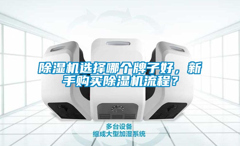 除濕機(jī)選擇哪個(gè)牌子好，新手購買除濕機(jī)流程？