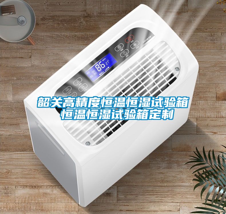 韶關(guān)高精度恒溫恒濕試驗(yàn)箱 恒溫恒濕試驗(yàn)箱定制