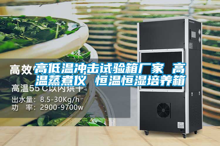 高低溫沖擊試驗箱廠家 高溫蒸煮儀 恒溫恒濕培養(yǎng)箱