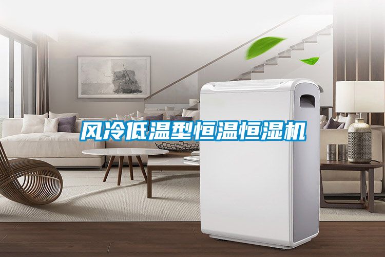 風(fēng)冷低溫型恒溫恒濕機(jī)