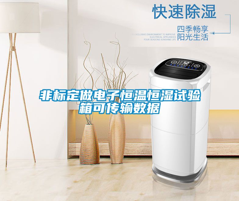 非標(biāo)定做電子恒溫恒濕試驗箱可傳輸數(shù)據(jù)