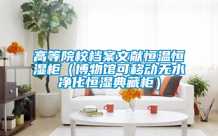 高等院校檔案文獻(xiàn)恒溫恒濕柜（博物館可移動無水凈化恒濕典藏柜）