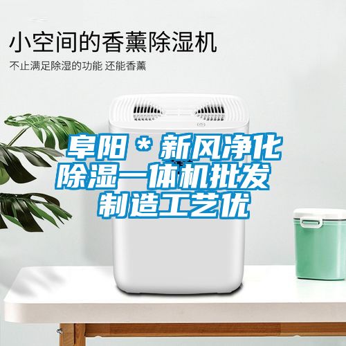 阜陽＊新風(fēng)凈化除濕一體機(jī)批發(fā) 制造工藝優(yōu)