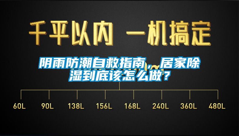 陰雨防潮自救指南，居家除濕到底該怎么做？