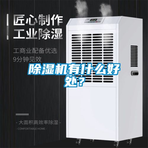 除濕機有什么好處？