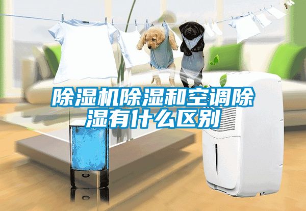 除濕機(jī)除濕和空調(diào)除濕有什么區(qū)別