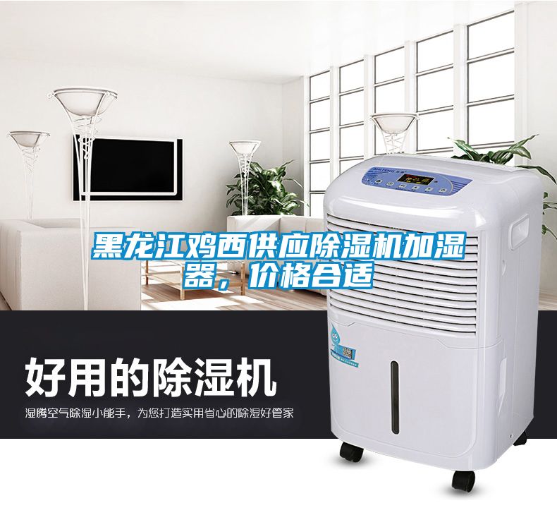 黑龍江雞西供應(yīng)除濕機(jī)加濕器，價(jià)格合適