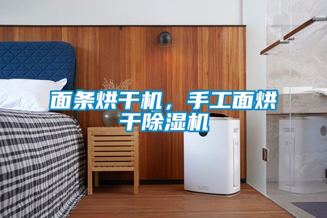 面條烘干機(jī)，手工面烘干除濕機(jī)