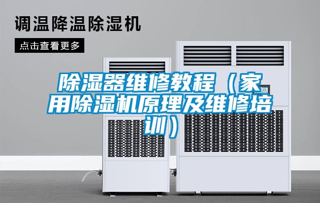 除濕器維修教程（家用除濕機原理及維修培訓）