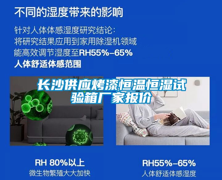 長沙供應(yīng)烤漆恒溫恒濕試驗(yàn)箱廠家報(bào)價(jià)