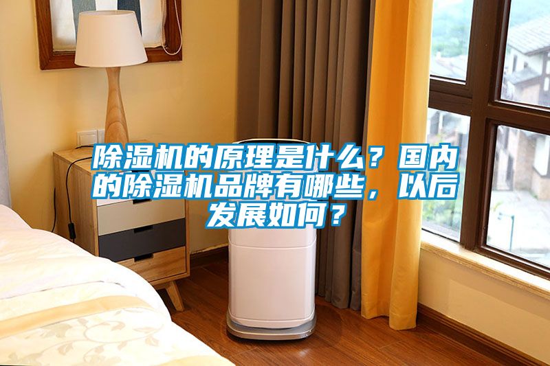 除濕機(jī)的原理是什么？國(guó)內(nèi)的除濕機(jī)品牌有哪些，以后發(fā)展如何？