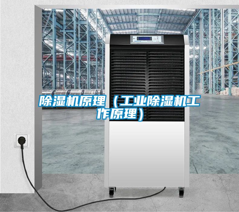 除濕機(jī)原理（工業(yè)除濕機(jī)工作原理）