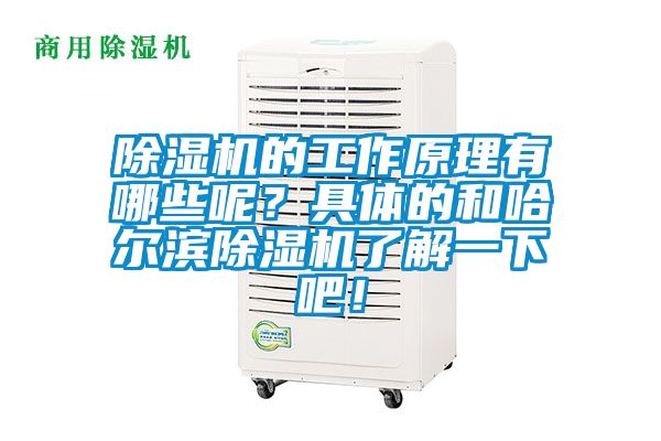 除濕機(jī)的工作原理有哪些呢？具體的和哈爾濱除濕機(jī)了解一下吧！