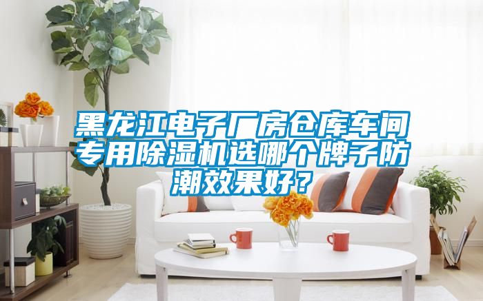 黑龍江電子廠房倉庫車間專用除濕機(jī)選哪個牌子防潮效果好？