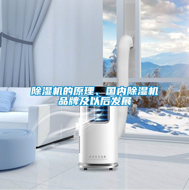 除濕機(jī)的原理、國內(nèi)除濕機(jī)品牌及以后發(fā)展