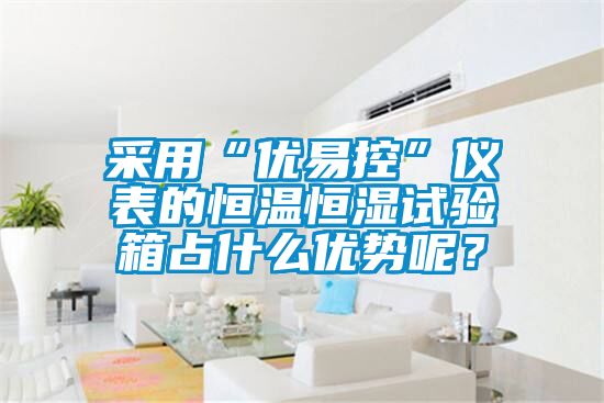 采用“優(yōu)易控”儀表的恒溫恒濕試驗箱占什么優(yōu)勢呢？