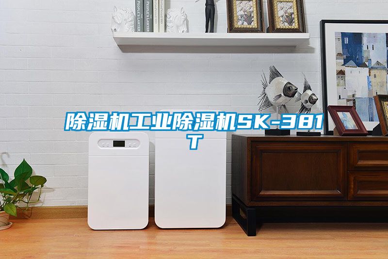 除濕機工業(yè)除濕機SK-381T