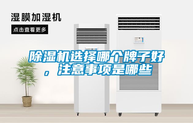 除濕機(jī)選擇哪個(gè)牌子好，注意事項(xiàng)是哪些