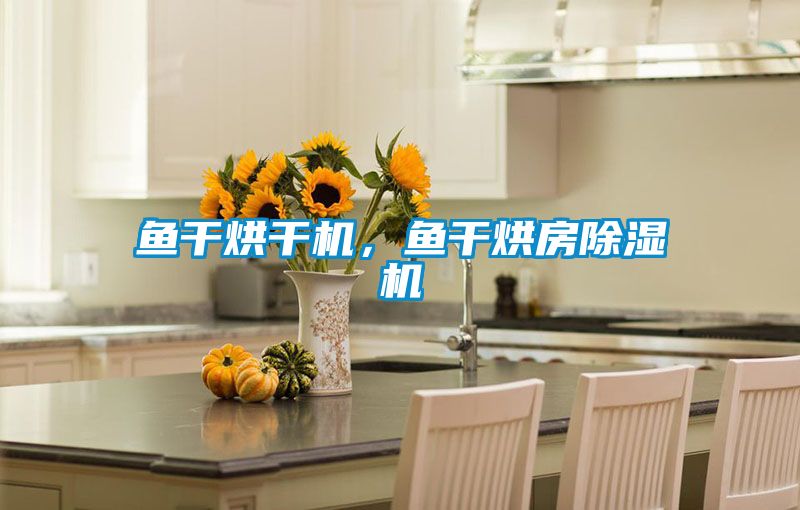 魚(yú)干烘干機(jī)，魚(yú)干烘房除濕機(jī)