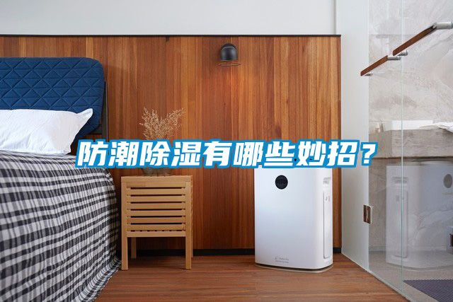 防潮除濕有哪些妙招？