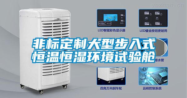 非標(biāo)定制大型步入式恒溫恒濕環(huán)境試驗艙