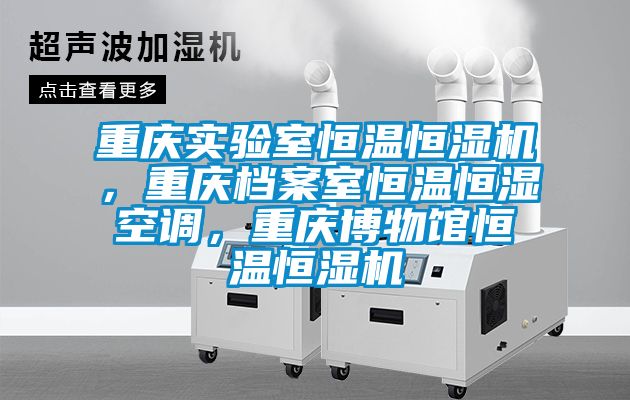 重慶實(shí)驗(yàn)室恒溫恒濕機(jī)，重慶檔案室恒溫恒濕空調(diào)，重慶博物館恒溫恒濕機(jī)