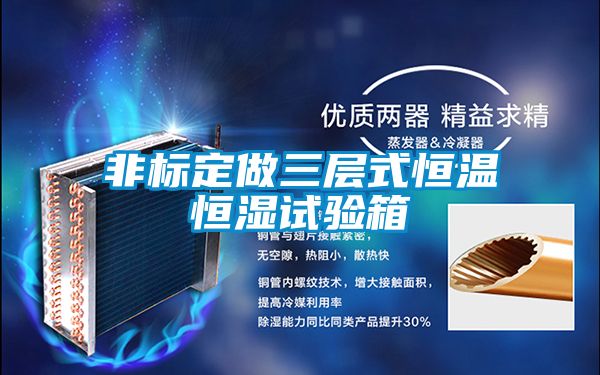 非標(biāo)定做三層式恒溫恒濕試驗箱