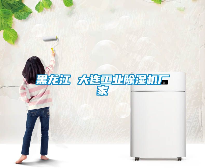 黑龍江 大連工業(yè)除濕機廠家