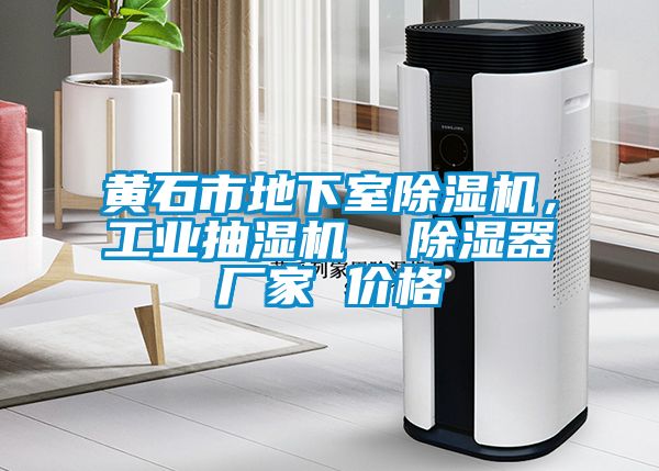 黃石市地下室除濕機(jī)，工業(yè)抽濕機(jī)  除濕器廠家 價(jià)格