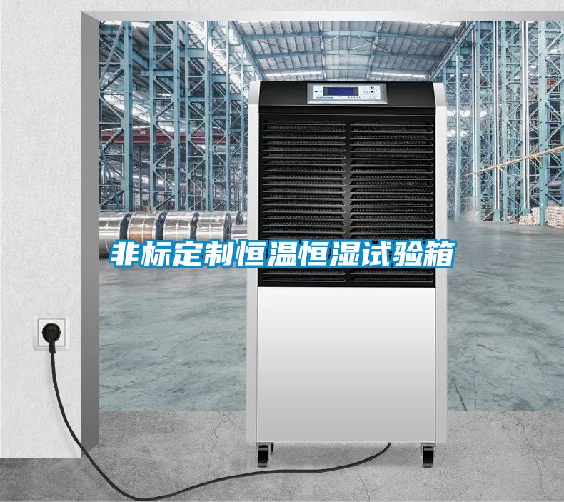 非標(biāo)定制恒溫恒濕試驗(yàn)箱