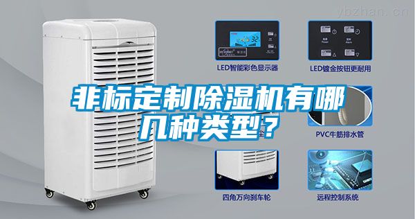 非標(biāo)定制除濕機(jī)有哪幾種類型？