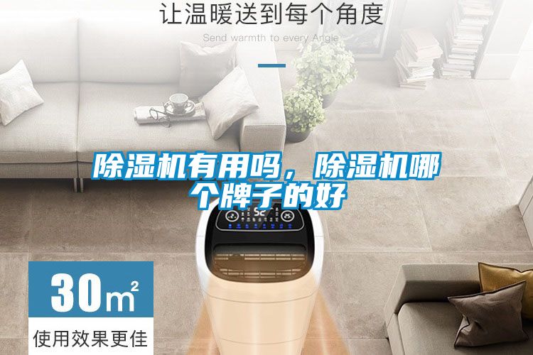 除濕機有用嗎，除濕機哪個牌子的好