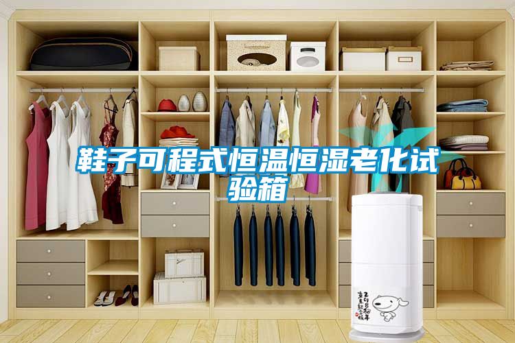 鞋子可程式恒溫恒濕老化試驗(yàn)箱
