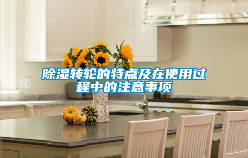 除濕轉(zhuǎn)輪的特點及在使用過程中的注意事項