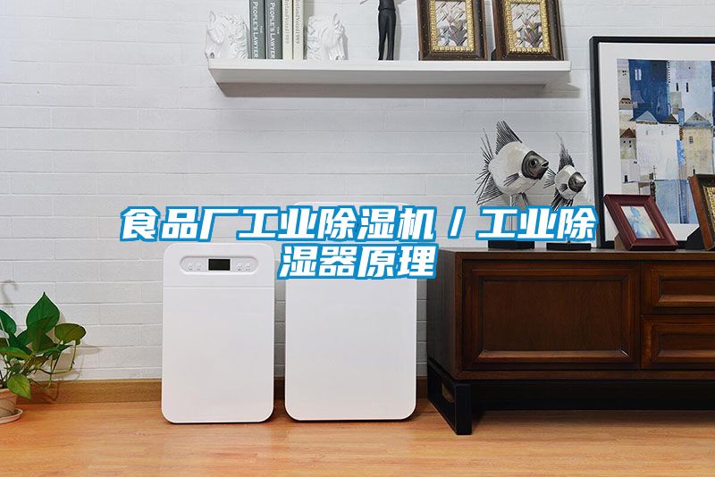 食品廠工業(yè)除濕機／工業(yè)除濕器原理