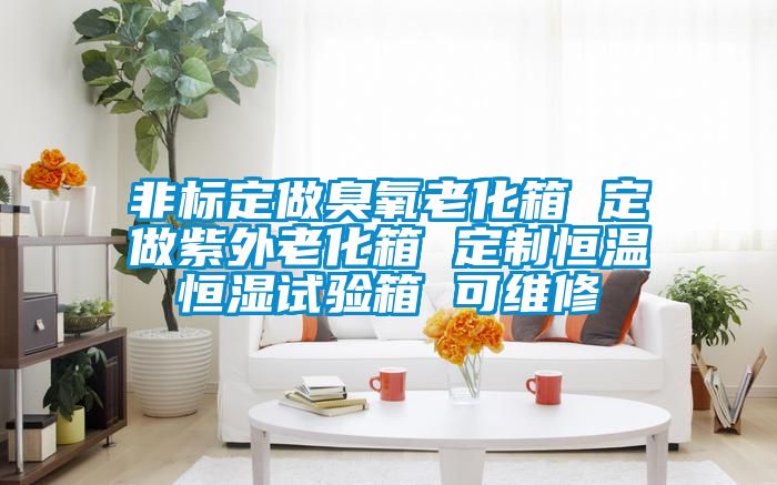 非標(biāo)定做臭氧老化箱 定做紫外老化箱 定制恒溫恒濕試驗箱 可維修
