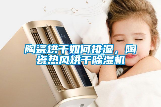 陶瓷烘干如何排濕，陶瓷熱風(fēng)烘干除濕機(jī)