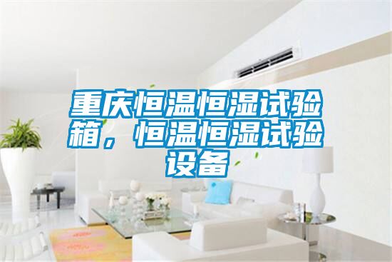 重慶恒溫恒濕試驗箱，恒溫恒濕試驗設(shè)備
