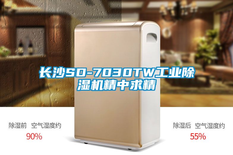 長沙SD-7030TW工業(yè)除濕機精中求精