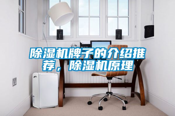 除濕機(jī)牌子的介紹推薦，除濕機(jī)原理