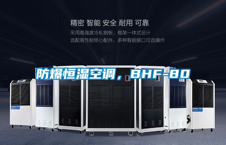 防爆恒濕空調(diào)，BHF-80