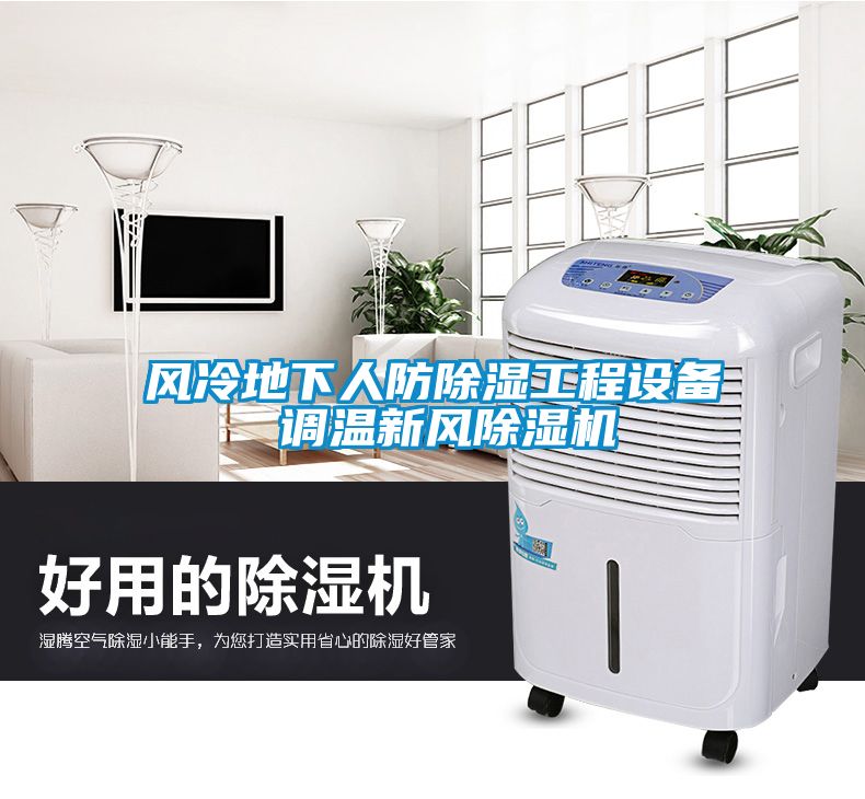 風冷地下人防除濕工程設(shè)備 調(diào)溫新風除濕機